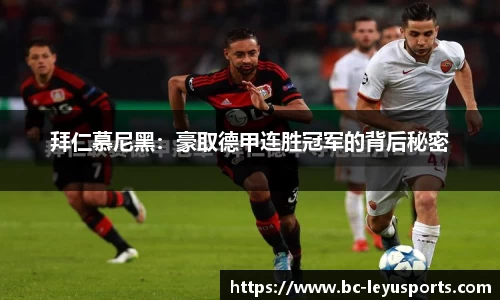 乐鱼体育官网