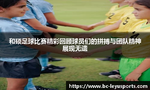乐鱼体育官方网站