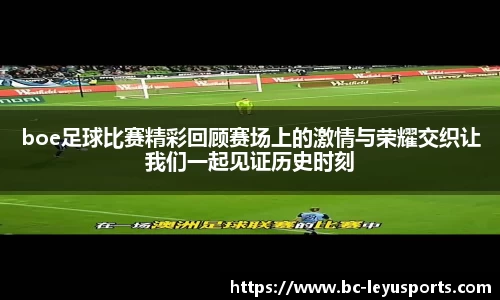 乐鱼体育公司