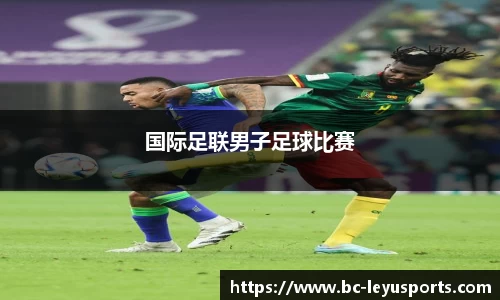 国际足联男子足球比赛