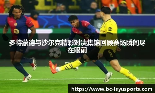 多特蒙德与沙尔克精彩对决集锦回顾赛场瞬间尽在眼前