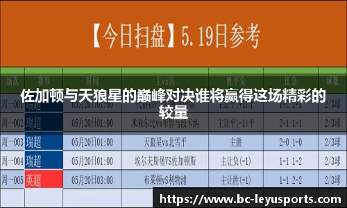 佐加顿与天狼星的巅峰对决谁将赢得这场精彩的较量