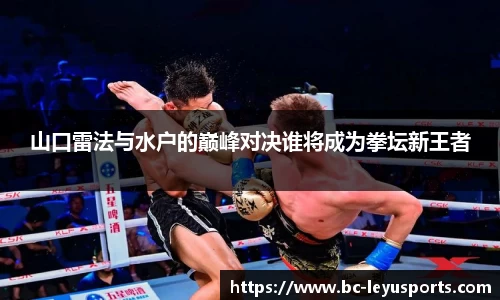 乐鱼体育官网