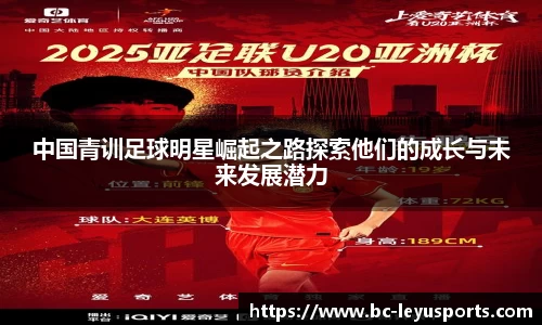 乐鱼体育公司