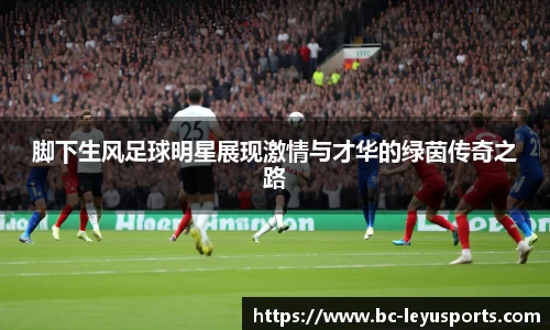 乐鱼体育官网